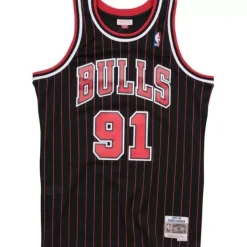 Swingman Jersey Chicago Bulls Alternate 1995-96 Dennis Rodman