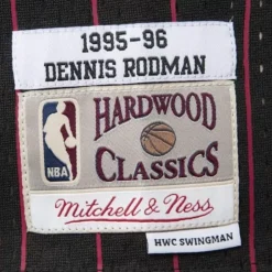 Swingman Jersey Chicago Bulls Alternate 1995-96 Dennis Rodman