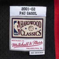 Swingman Jersey Memphis Grizzlies 2001-02 Pau Gasol