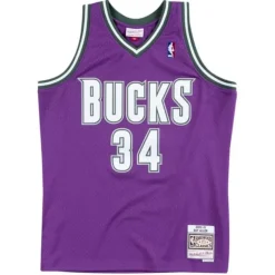 Swingman Jersey Milwaukee Bucks Road 2000-01 Ray Allen