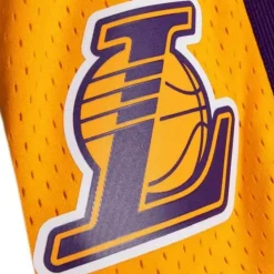 Swingman Los Angeles Lakers 2009-10 Shorts