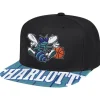 Swingman Pop Snapback Hwc Charlotte Hornets