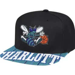 Swingman Pop Snapback Hwc Charlotte Hornets
