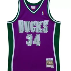 Swingman Ray Allen Milwaukee Bucks 2001-02 Jersey
