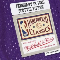 Swingman Scottie Pippen All Star East 1994-95 Jersey