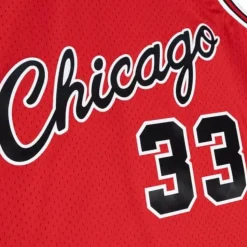 Swingman Scottie Pippen Chicago Bulls Alternate 2003-04 Jersey