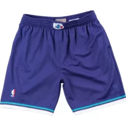 Swingman Shorts Charlotte Hornets Alternate 1994-95