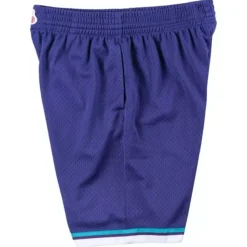 Swingman Shorts Charlotte Hornets Alternate 1994-95