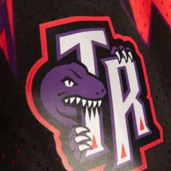 Swingman Toronto Raptors 1998 Shorts