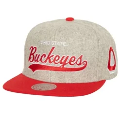 Tailsweep 2.0 Melton Snapback V Ohio State