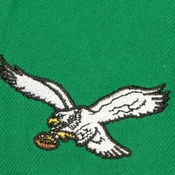 Tailsweep 2.0 Pro Snapback Philadelphia Eagles