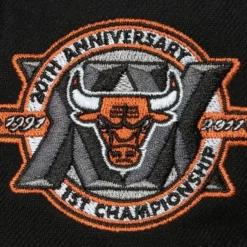 Take Flight Fitted Hwc Chicago Bulls