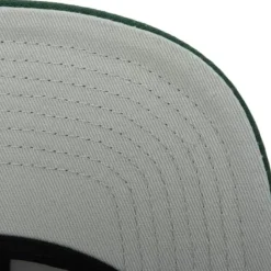 Tapestry Snapback Green Bay Packers