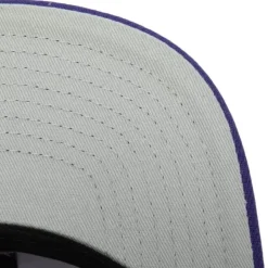 Tapestry Snapback Minnesota Vikings