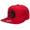 Tapestry Snapback Toronto Raptors