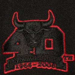 Tc Bottoms Snapback Chicago Bulls