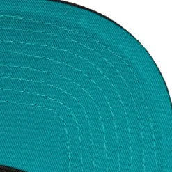 Tc Bottoms Snapback Hwc Charlotte Hornets