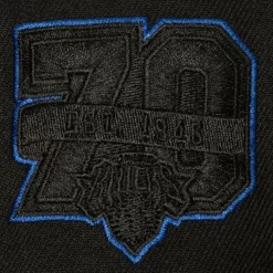 Tc Bottoms Snapback Hwc New York Knicks