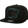 Tc Bottoms Snapback Hwc Vancouver Grizzlies