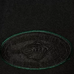 Tc Bottoms Snapback Minnesota Wild