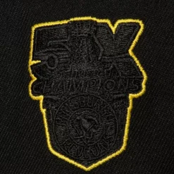 Tc Bottoms Snapback Vntg Pittsburgh Penguins