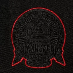 Tc Bottoms Snapback Vntg Detroit Red Wings