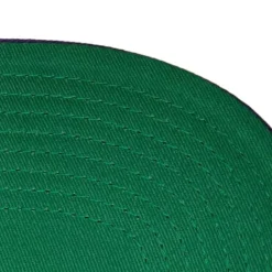 Team 2 Tone 2.0 Fitted Hwc Charlotte Hornets