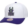 Team 2 Tone 2.0 Pro Snapback Hwc Milwaukee Bucks