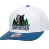 Team 2 Tone 2.0 Pro Snapback Hwc Minnesota Timberwolves