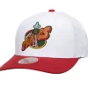 Team 2 Tone 2.0 Pro Snapback Hwc Seattle Supersonics