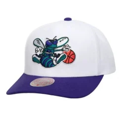 Team 2 Tone 2.0 Pro Snapback Hwc Charlotte Hornets