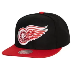Team 2 Tone 2.0 Snapback Detroit Red Wings