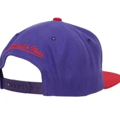 Team 2 Tone 2.0 Snapback Hwc Toronto Raptors