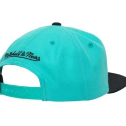 Team 2 Tone 2.0 Snapback Hwc Vancouver Grizzlies