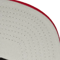 Team 2 Tone 2.0 Snapback New Orleans Pelicans