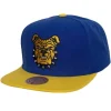 Team 2 Tone 2.0 Snapback North Carolina A&T University
