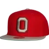 Team 2 Tone 2.0 Snapback Ohio State