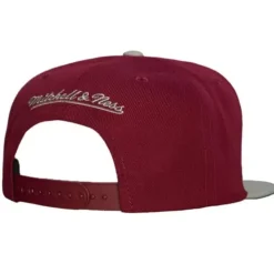 Team 2 Tone 2.0 Snapback Texas Southern University