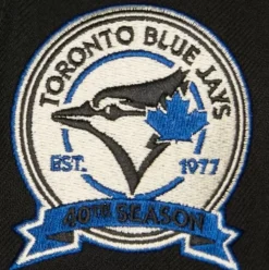 Team Classic Snapback Coop Toronto Blue Jays