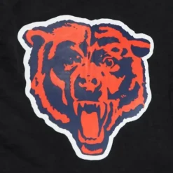 Team Essentials Nylon Shorts Chicago Bears