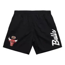 Team Essentials Nylon Shorts Chicago Bulls