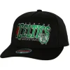 Team Graphic Stretch Snapback Boston Celtics