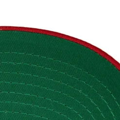 Team Ground 2.0 Pro Snapback Detroit Red Wings