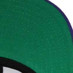 Team Ground 2.0 Snapback Hwc Toronto Raptors