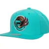 Team Ground 2.0 Snapback Hwc Vancouver Grizzlies