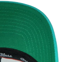 Team Ground 2.0 Stretch Snapback Hwc Vancouver Grizzlies