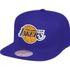 Team Ground Snapback Los Angeles Lakers