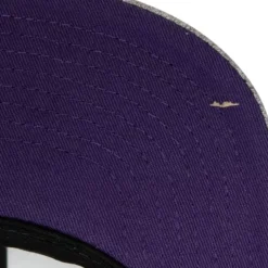 Team Heather 2.0 Snapback Los Angeles Lakers