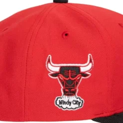 Team Insider Snapback Hwc Chicago Bulls