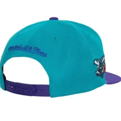 Team Insider Snapback Hwc Charlotte Hornets